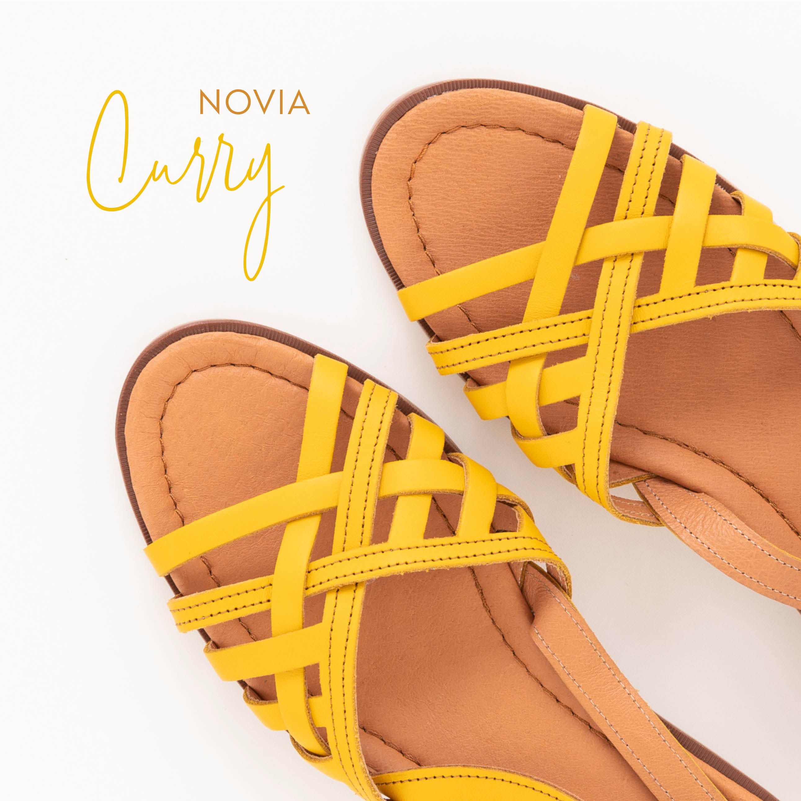 AMiGAS Novia Curry